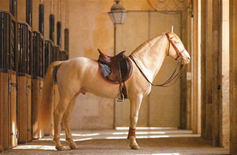 how much is a custom hermes saddle